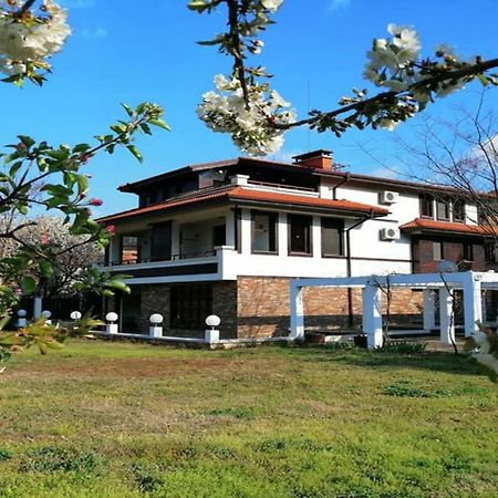 Къща За Гости "Мечта" Lyutibrod المظهر الخارجي الصورة